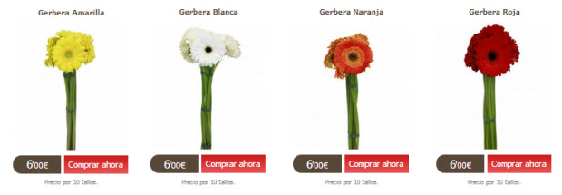Enviar Gerberas online: unas flores que innundan tu casa de color